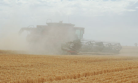 Wind is blowing dust and debris into the header of a harvester going downwind. There is a haze of dust around the front of the machine.